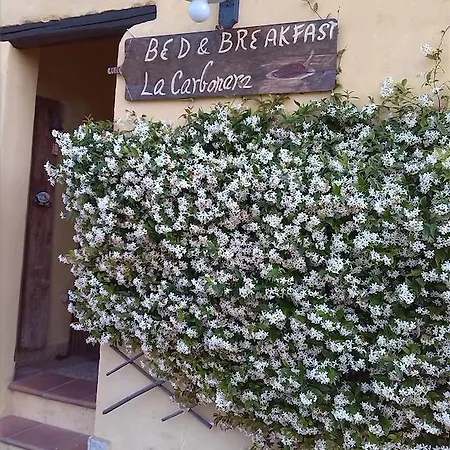 La Carbonara 6 Oda ve Kahvaltı Bardolino