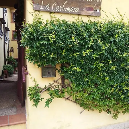 La Carbonara 6