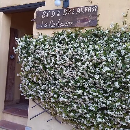 La Carbonara 6 Bed & Breakfast Bardolino