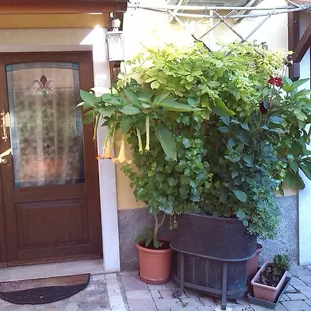La Carbonara 6 Bed & Breakfast *